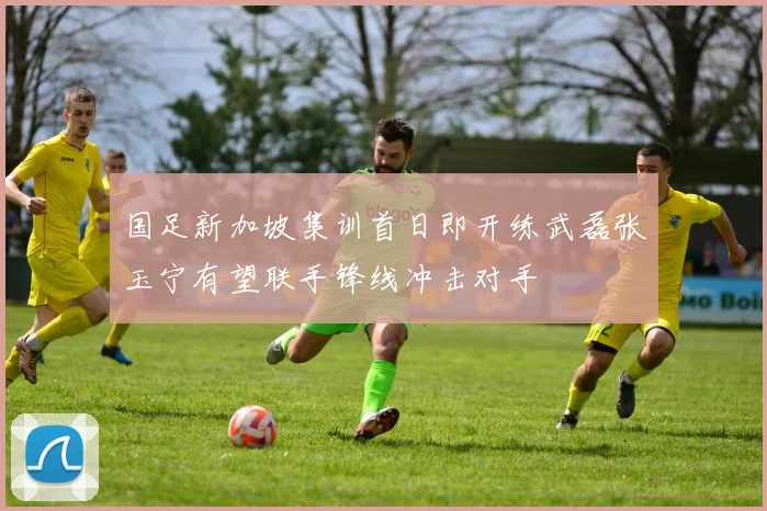 国足新加坡集训首日即开练武磊张玉宁有望联手锋线冲击对手