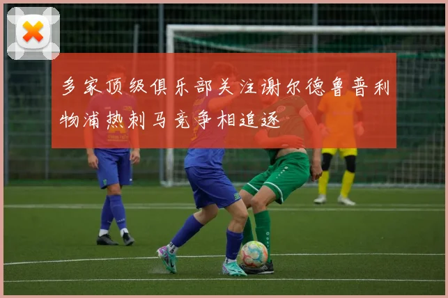 多家顶级俱乐部关注谢尔德鲁普利物浦热刺马竞争相追逐